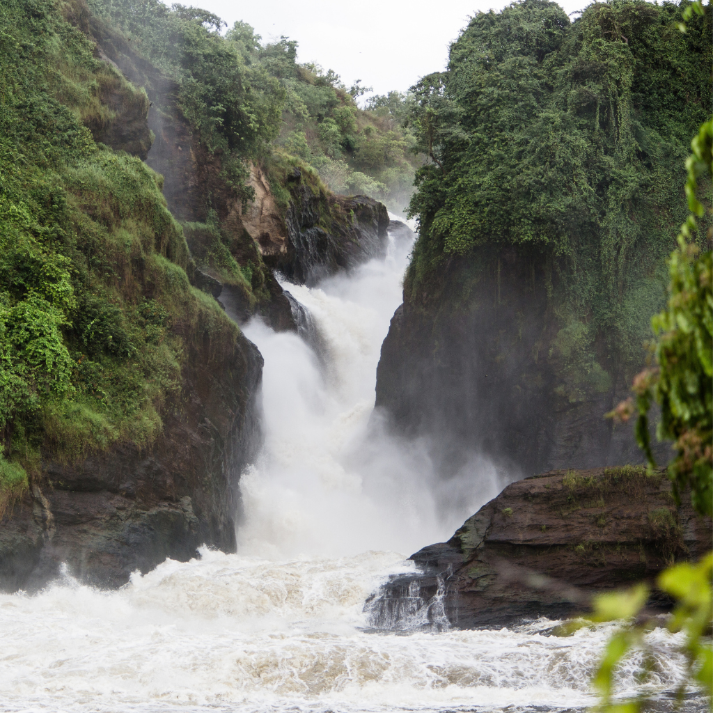 Uganda Kyarumba Natural