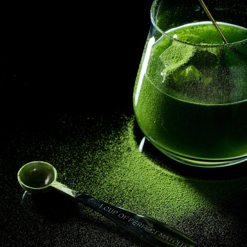 Ceai în vrac Matcha Culinary Grade 454 g