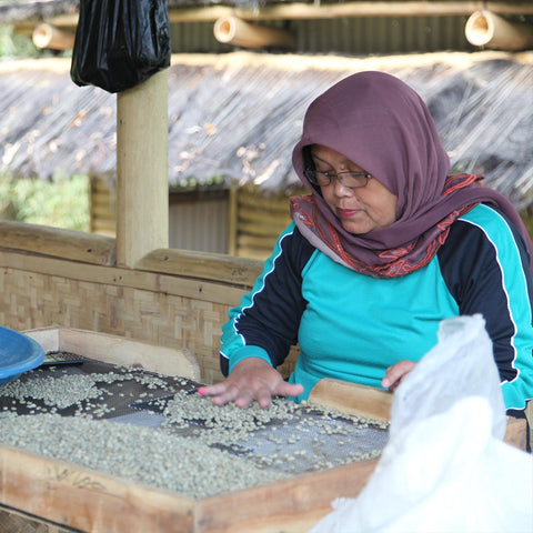 Indonésie Kerinci Washed - Výběrová káva